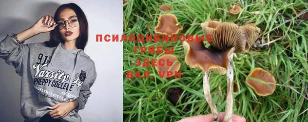 круглые Алзамай