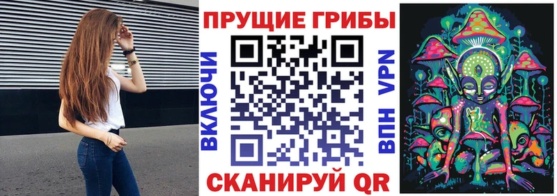 Псилоцибиновые грибы Magic Shrooms Ленинск